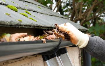 gutter cleaning Mount