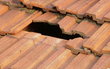 roof repair Mount