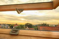 rated Mount roof window companies